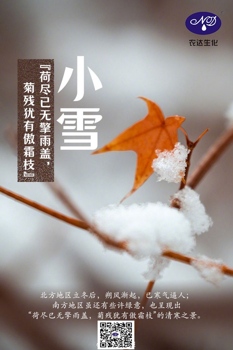 今日小雪(圖1)